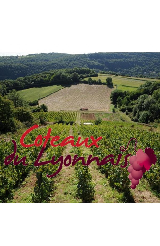 Coteaux du lyonnais  Loron & Fils 2011