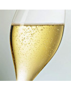 Champagne en ligne : Sélection des meilleures bouteilles de Champagne au meilleur prix Champagne pas cher 